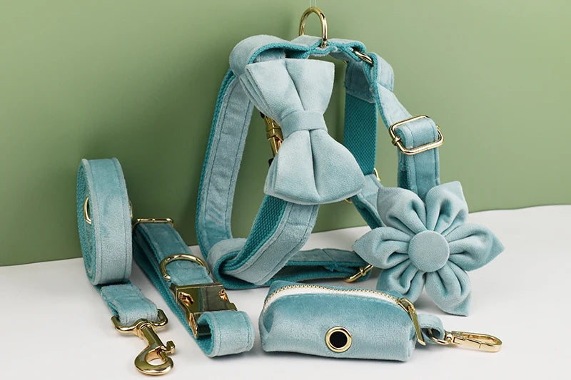 Green Velvet Personalized Dog Collar, Leash & Harness Set