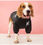 Winter Warm Dog Jacket | Thick, Windproof Coat