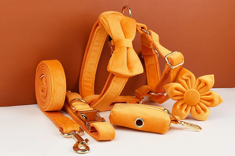 Orange Velvet Personalized Dog Collar, Leash & Harness Set