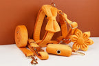 Orange Velvet Personalized Dog Collar, Leash & Harness Set
