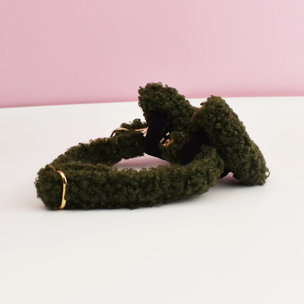 Teddy Personalized Cat Dog Collar, Leash & Harness Set