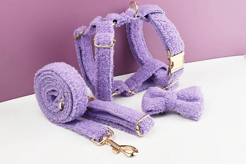 Teddy Velvet Personalized Dog Collar, Leash & Harness Set