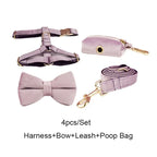 DDPaws  Harness + Leash + Bowtie + Poop Bag / XS Deep Purple Velvet Set