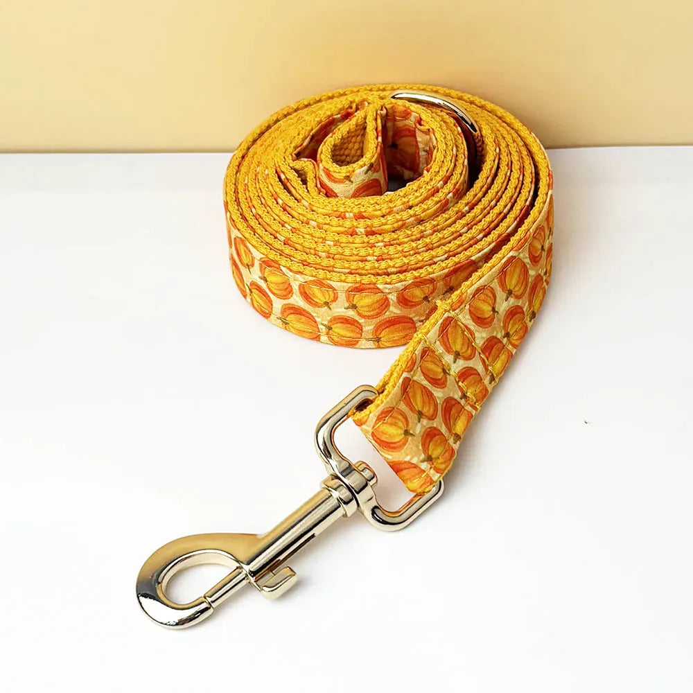 DDPaws  Leash / XS Halloween Pumpkin Print Set