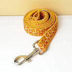 DDPaws  Leash / XS Halloween Pumpkin Print Set