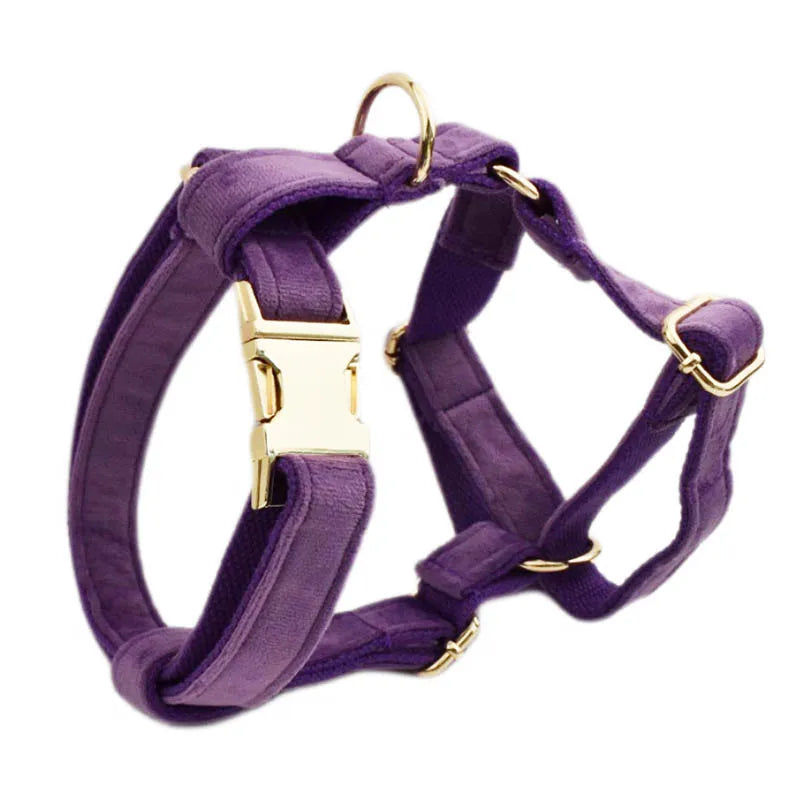 Purple Velvet Personalized Dog Collar, Leash & Harness Set