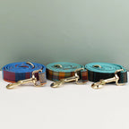 Personalized Plaid Dog Collar Leash Set