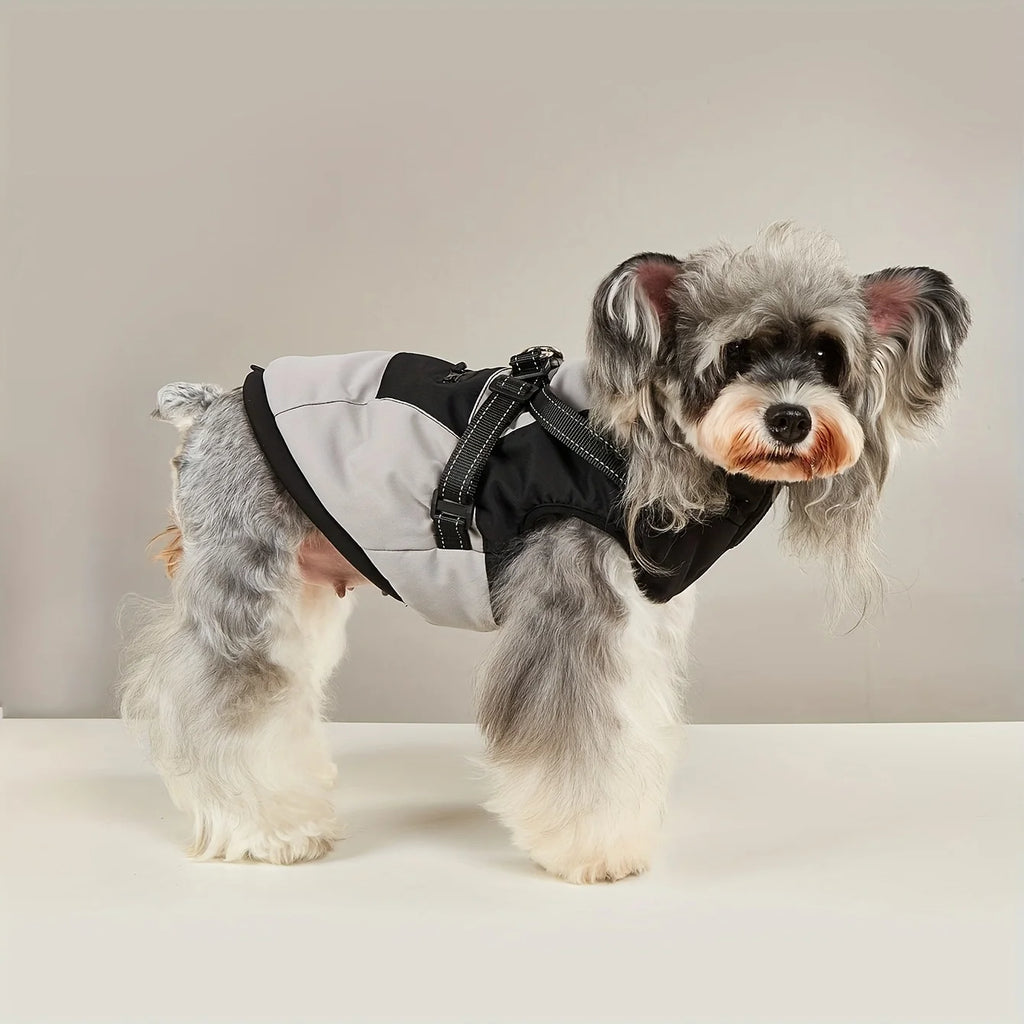 Waterproof Winter Dog Jacket with Harness – Warm Outdoor Coat for Small & Medium Dogs