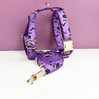 Violet Personalized Dog Collar, Leash & Harness Set