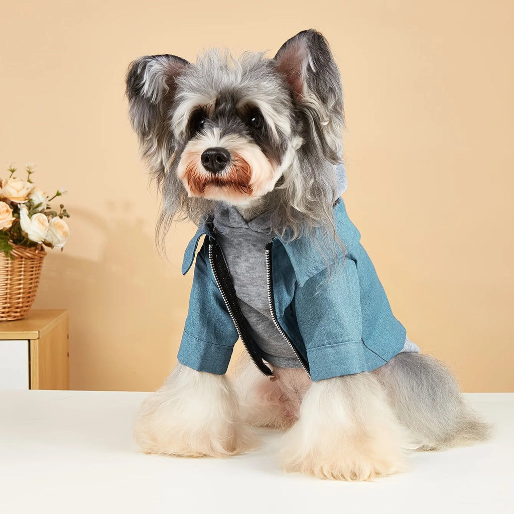 Fashion Dog Hoodie – Soft, Warm Winter Coat for Small & Medium Dogs