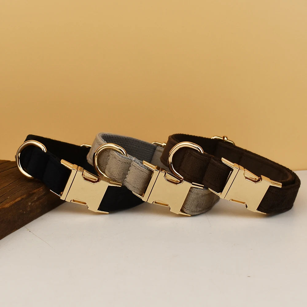 High Quality Dog Collar & Leash Set – Personalized Engraved Nameplate, Padded