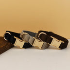 High Quality Dog Collar & Leash Set – Personalized Engraved Nameplate, Padded