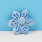 Blue Velvet Personalized Dog Collar, Leash & Harness Set