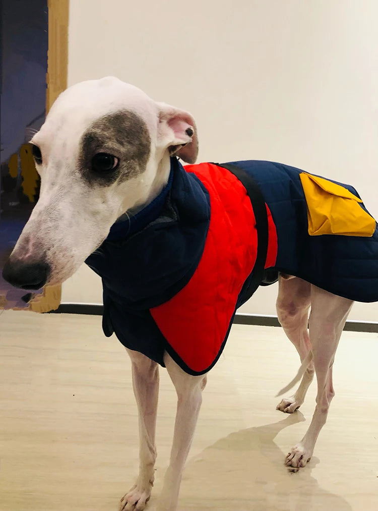 Waterproof Thick Cotton Dog Jacket – Super Warm Winter Coat for All Breeds