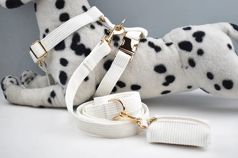White Corduroy Personalized Dog Collar, Leash & Harness Set