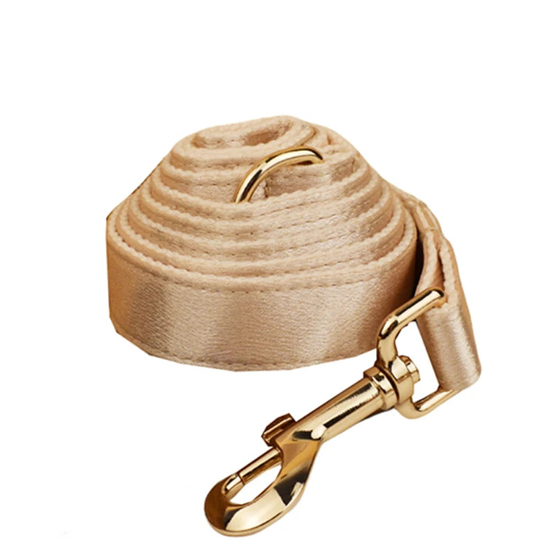 Personalized Dog Collar, Leash & Harness Set