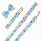 Dinosaur Dog Collar and Leash Set