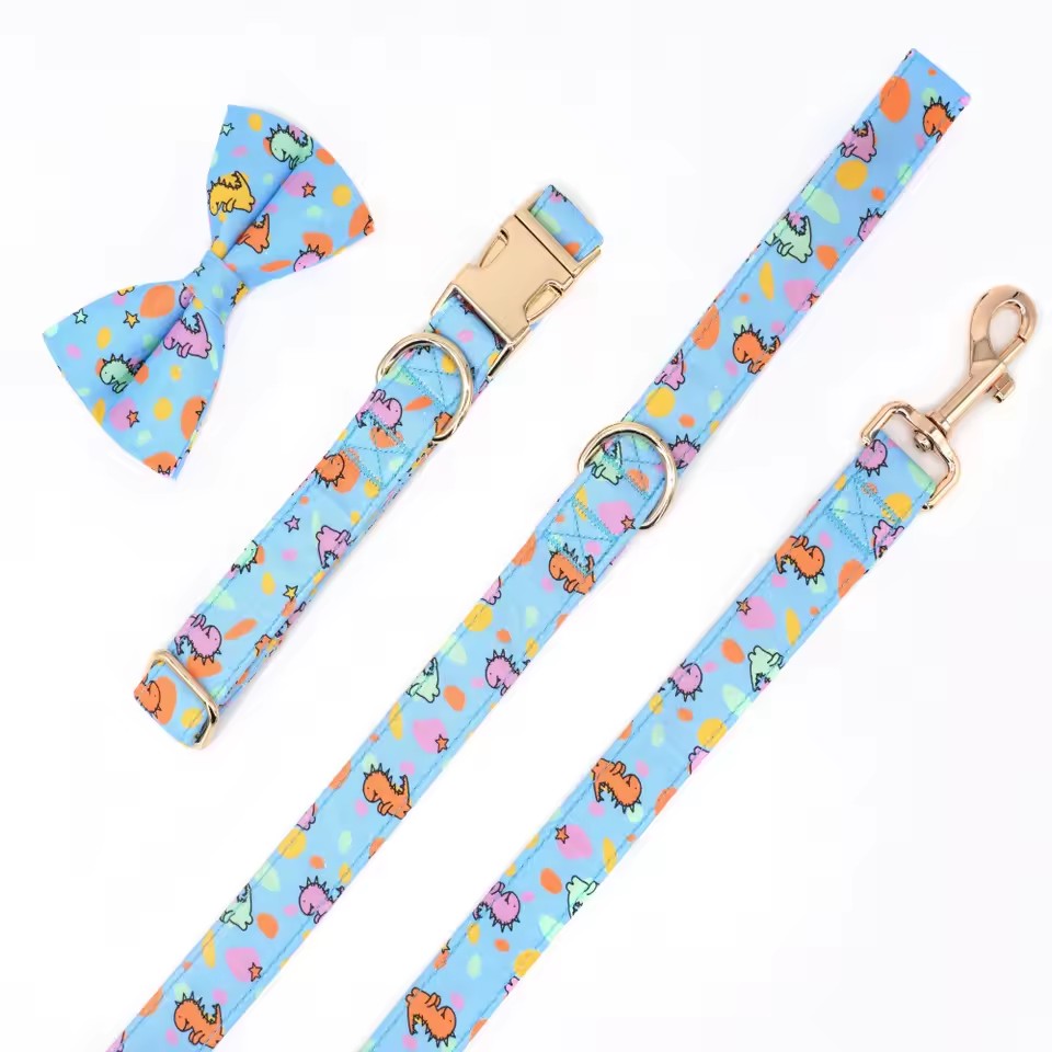 Dinosaur Dog Collar and Leash Set