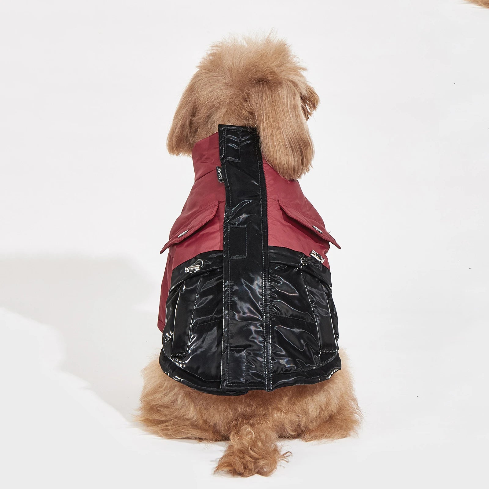 Winter Dog Jacket – Windproof, Cold-Resistant Coat for Small & Medium Dogs
