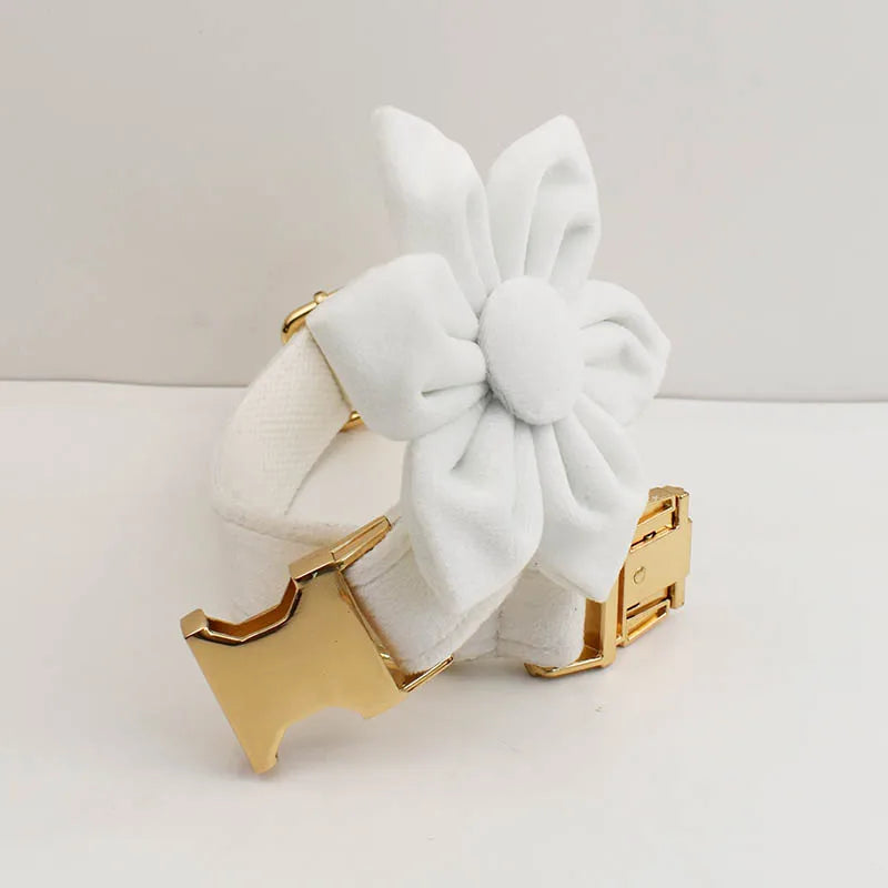 White Velvet Personalized Dog Collar, Leash & Harness Set