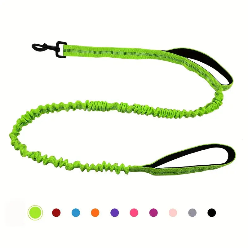 Heavy-Duty Bungee Dog Leash – 5ft Shock-Absorbing Lead with Dual Handles
