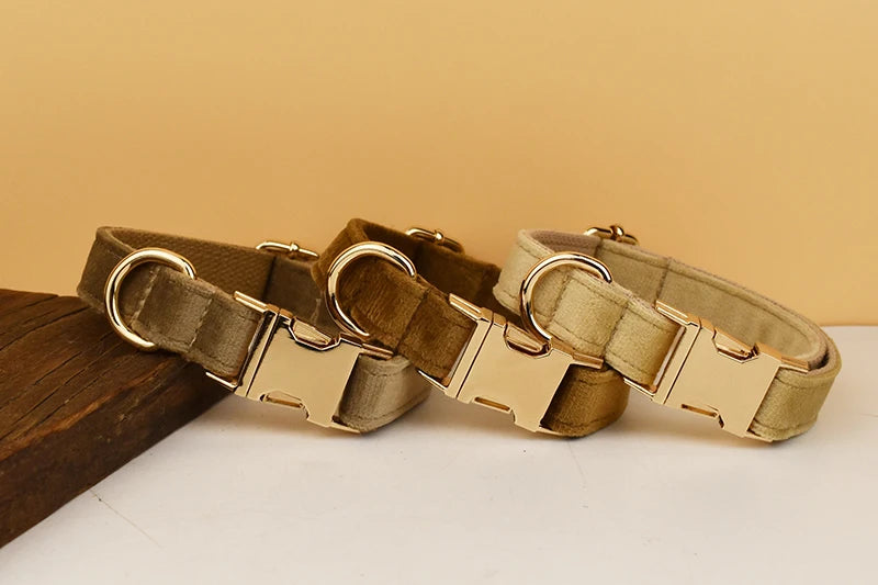 High Quality Dog Collar & Leash Set – Personalized Engraved Nameplate, Padded