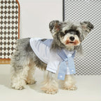 Summer Dog T-Shirt – Lightweight, Breathable Pet Shirt for Small & Medium Dogs