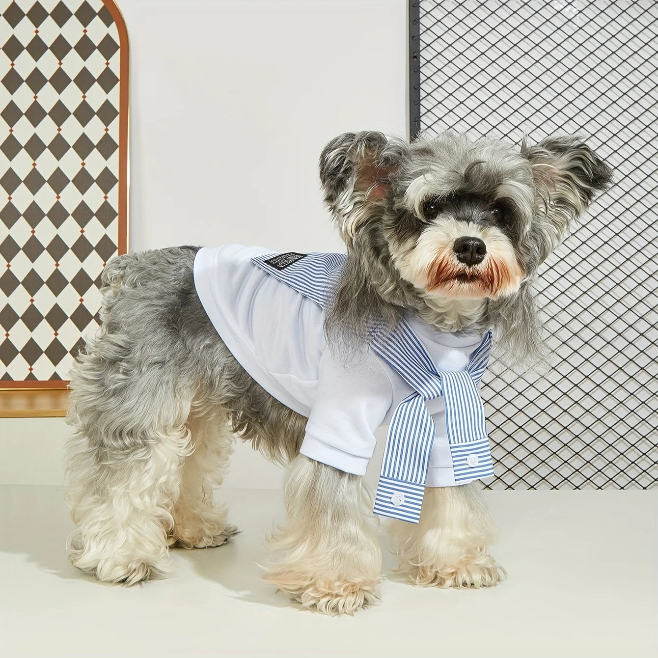 Summer Dog T-Shirt – Lightweight, Breathable Pet Shirt for Small & Medium Dogs