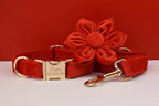 Red Velvet Personalized Dog Collar, Leash & Harness Set