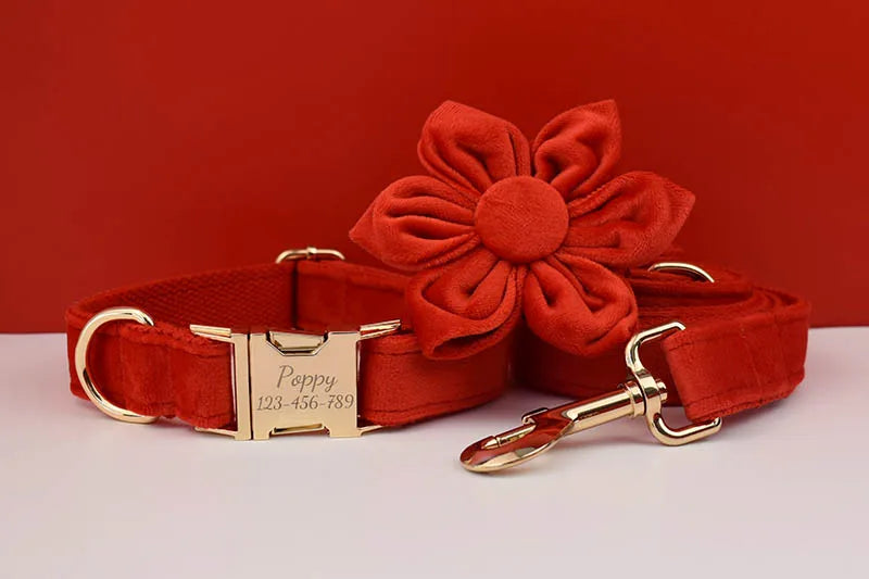 Red Velvet Personalized Dog Collar, Leash & Harness Set