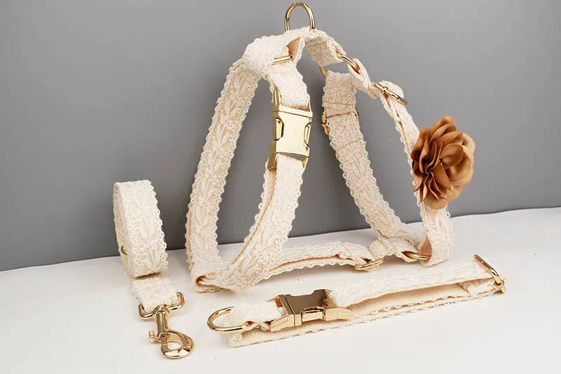Lace Personalized Dog Collar, Leash & Harness Set