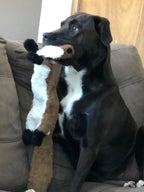 Funny Stuffing-Free Squeaky Dog Toy – Durable Plush Crinkle Animal Toy