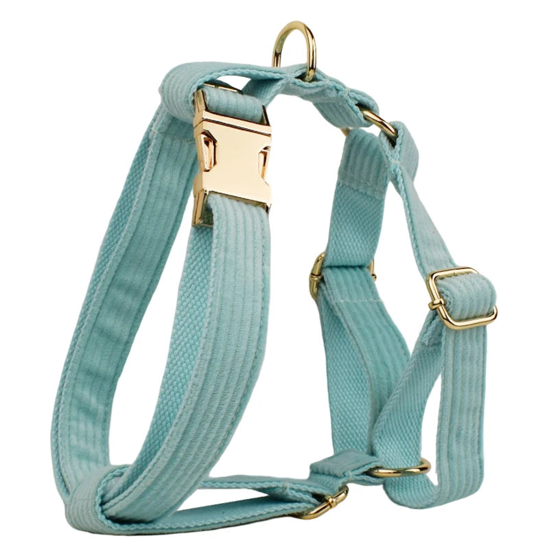 Lake Green Corduroy Personalized Dog Collar, Leash & Harness Set