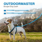 Heavy-Duty Bungee Dog Leash – 5ft Shock-Absorbing Lead with Dual Handles