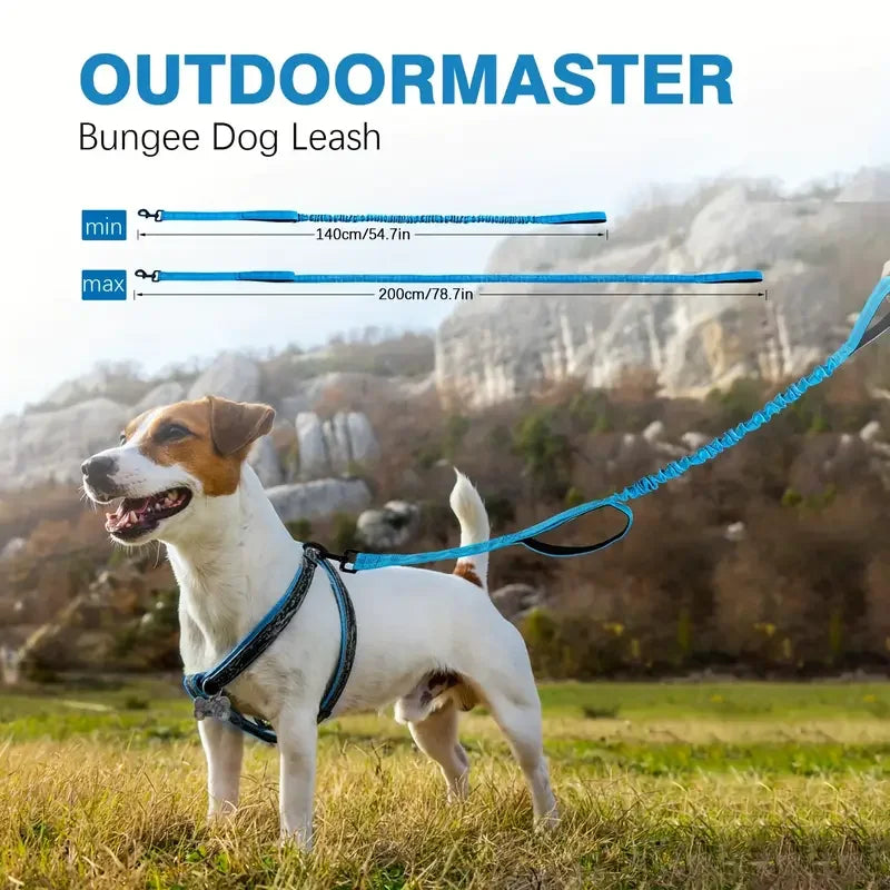 Heavy-Duty Bungee Dog Leash – 5ft Shock-Absorbing Lead with Dual Handles