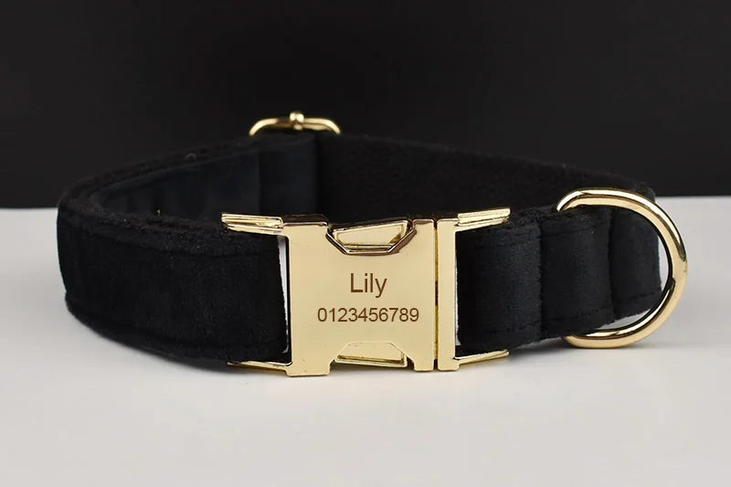 Black Velvet Personalized Dog Collar, Leash & Harness Set