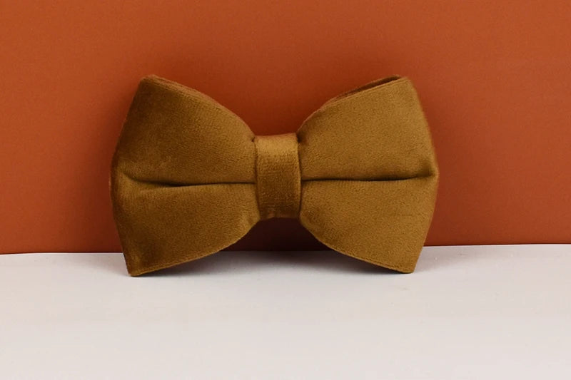 Light Coffee Color Velvet Personalized Dog Collar, Leash & Harness Set