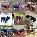Waterproof Winter Dog Jacket with D-Ring – Windproof Warm Coat for Small to Large Dogs
