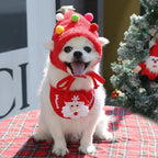 Christmas Pet Hat & Bandana Set – Cute Holiday Costume for Small Dogs & Cats