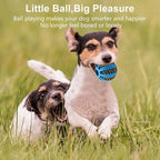 Rubber Dog Ball Toy – Interactive Chew & Food Dispensing Ball for Small Dogs