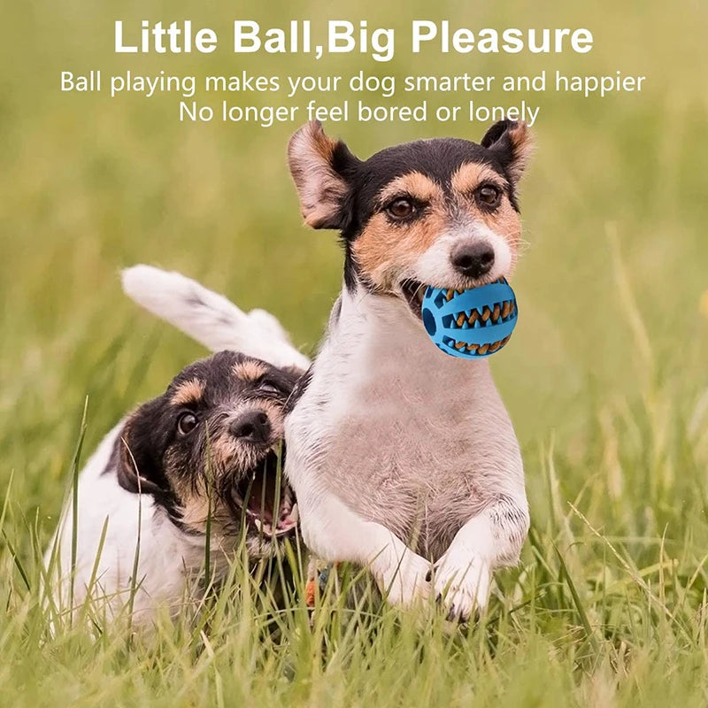 Rubber Dog Ball Toy – Interactive Chew & Food Dispensing Ball for Small Dogs