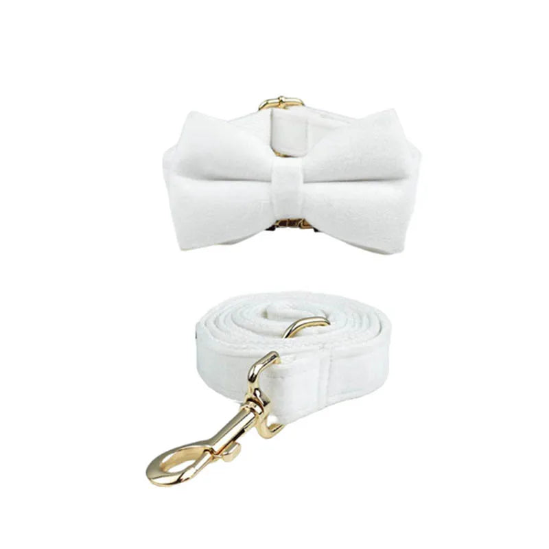 White Velvet Personalized Dog Collar, Leash & Harness Set