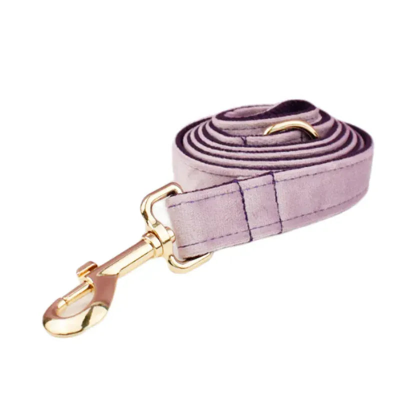 DDPaws  Leash / XS Deep Purple Velvet Set
