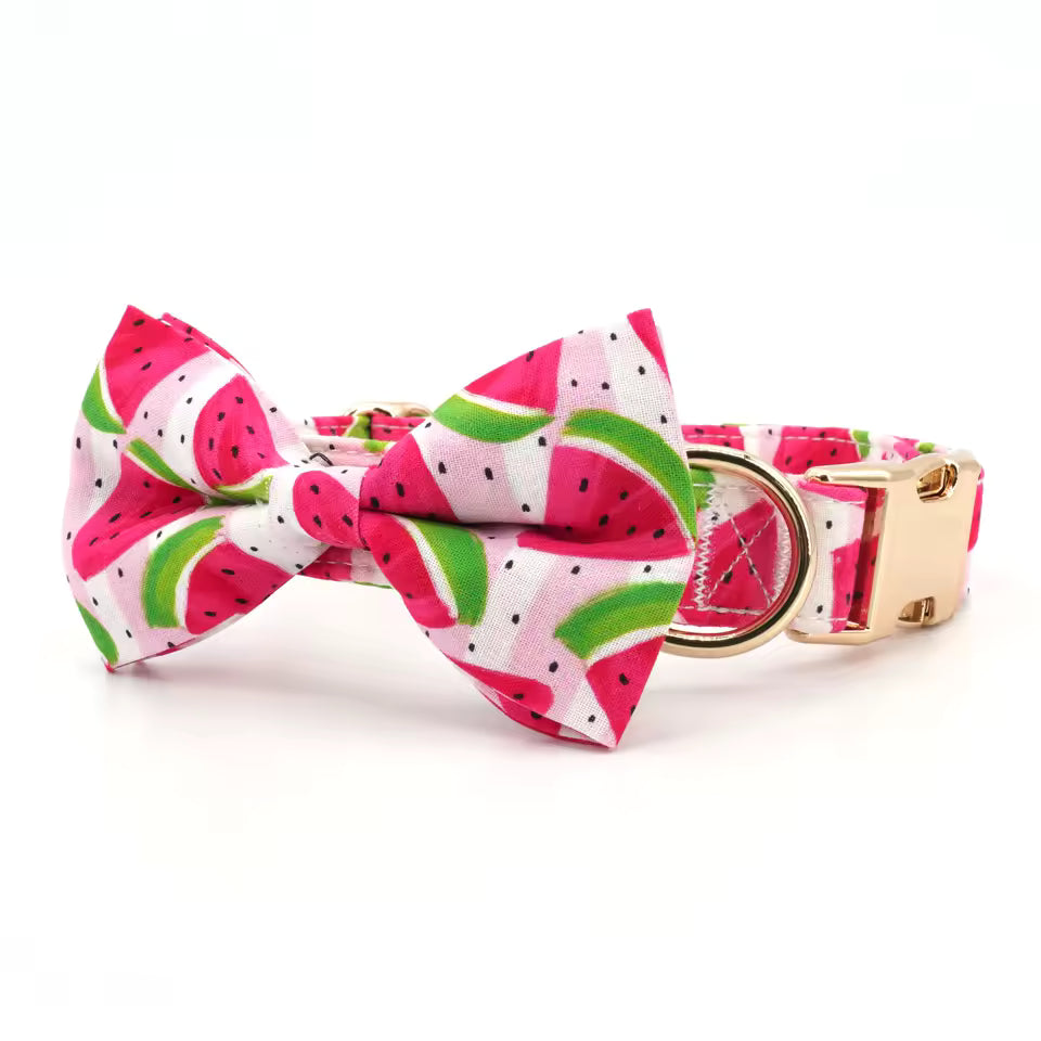 Watermelon Dog Collar and Leash Set