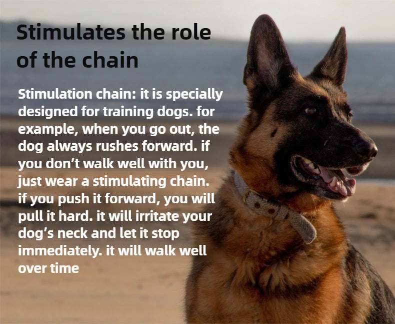 Metal Dog Training Collar – Detachable Stainless Steel Chain with Quick-Release Buckle