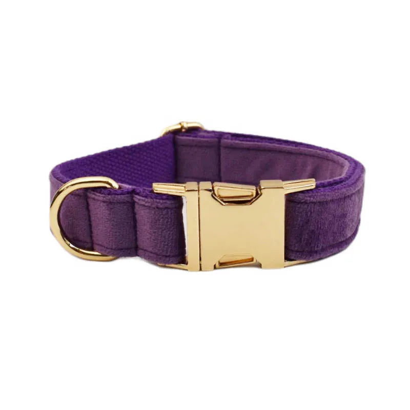 Purple Velvet Personalized Dog Collar, Leash & Harness Set