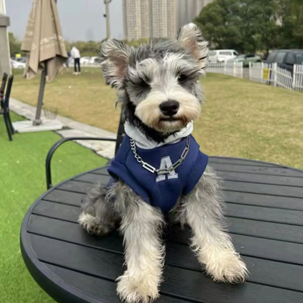 Winter Warm Dog Hoodie – Soft Polyester Pullover for Small & Medium Dogs