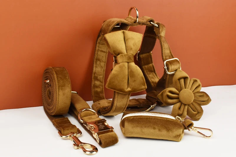 Light Coffee Color Velvet Personalized Dog Collar, Leash & Harness Set