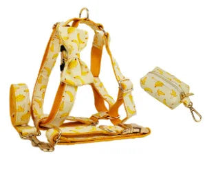 Personalized Floral Dog Harness and Leash Set, Puppy Bowtie Collar with Poop Bag, Cute Outdoor Pet Gift