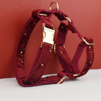 Red Personalized Dog Collar, Leash & Harness Set